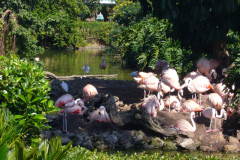 p1000627