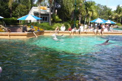 p1000629