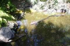 p1000639