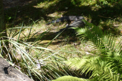 p1000640
