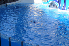 p1000647