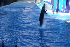 p1000654