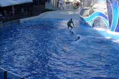 p1000656