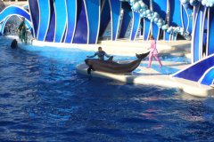 p1000657