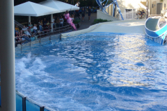 p1000658