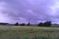imag0140