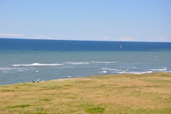 dsc_0009