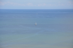 dsc_0011
