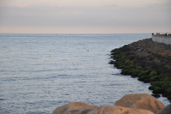 dsc_0004