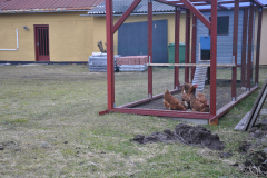 130306-dsc_0036