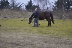 130306-dsc_0038