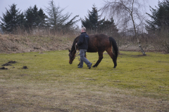 130306-dsc_0039