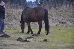 130306-dsc_0041