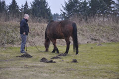 130306-dsc_0042