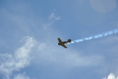 dsc_0006