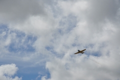 dsc_0018