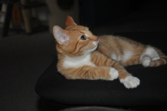 dsc_0120